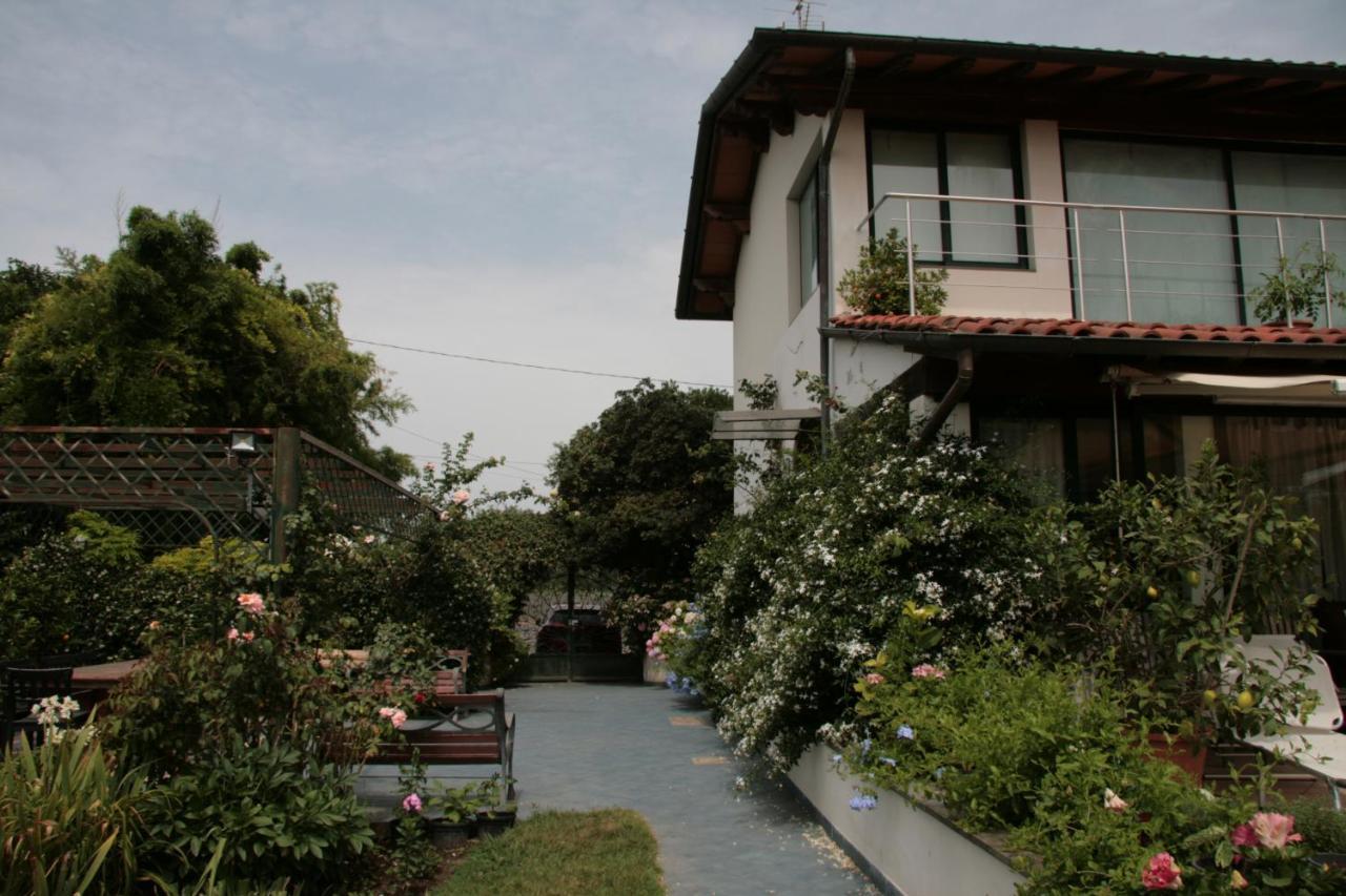Pietrasanta - Versilia - Villa Arzilla Garden Con Piscina Tonfano Exterior foto