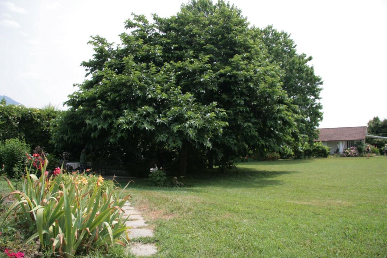 Pietrasanta - Versilia - Villa Arzilla Garden Con Piscina Tonfano Exterior foto